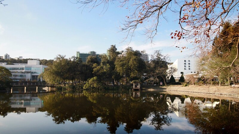 清華成功湖大整治 划船遊湖明年重現圖片