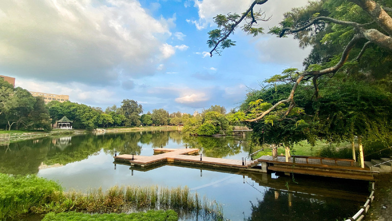 成功湖生態營造與環境維護計畫_Lake Success Eco Project圖片